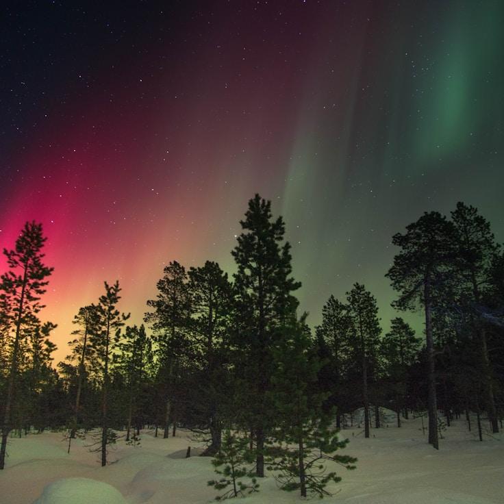 Nature travel hero image